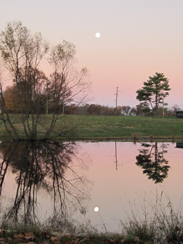 Reflective Pond polishing your heart visual